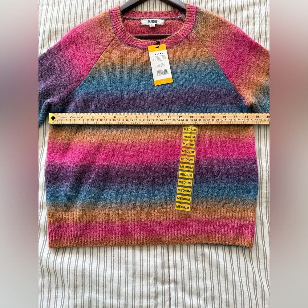 BB Dakota Multicolor Ombre Striped Crewneck Sweater - Picture 7 of 8
